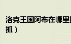 洛克王国阿布在哪里捕捉（洛克王国阿布在哪抓）