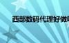 西部数码代理好做吗（西部数码代理）