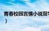 青春校园言情小说双学霸（青春校园言情小说）
