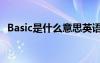 Basic是什么意思英语（basic是什么意思）