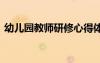 幼儿园教师研修心得体会 教师研修心得体会