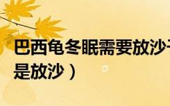巴西龟冬眠需要放沙子吗（巴西龟冬眠放水还是放沙）