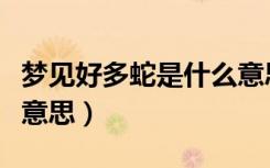 梦见好多蛇是什么意思呢（梦见好多蛇是什么意思）