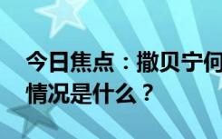 今日焦点：撒贝宁何炅李健 吉祥三保，具体情况是什么？