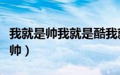 我就是帅我就是酷我就是风中一匹狼（我就是帅）
