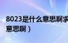 8023是什么意思啊求答案图片（8023是什么意思啊）