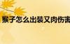 猴子怎么出装又肉伤害又高（猴子怎么出装）