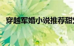 穿越军婚小说推荐甜宠文（穿越军婚小说）