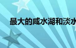 最大的咸水湖和淡水湖（最大的咸水湖）