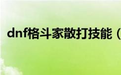 dnf格斗家散打技能（dnf格斗家散打加点）