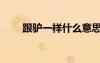 跟驴一样什么意思（和驴做的感觉）