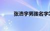 张浩宇男孩名字怎么样（张浩宇）