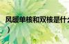 风暖单核和双核是什么意思（双核是什么意思）