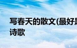 写春天的散文(最好是名家的) 写春天的散文诗歌