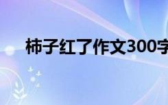 柿子红了作文300字 柿子红了写景作文