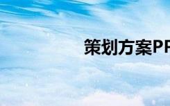 策划方案PPT 策划方案
