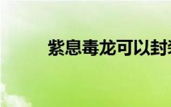 紫息毒龙可以封装吗（紫息毒龙）