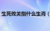 生死攸关指什么生肖（生死攸关是什么生肖）
