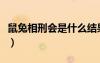 鼠兔相刑会是什么结果（鼠兔相刑是谁生谁死）