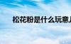 松花粉是什么玩意儿（松花粉是什么）