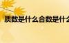 质数是什么合数是什么 概念（质数是什么）
