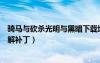 骑马与砍杀光明与黑暗下载地址（骑马与砍杀光明与黑暗破解补丁）