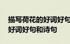 描写荷花的好词好句和诗句大全 描写荷花的好词好句和诗句