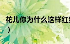 花儿你为什么这样红红（花儿你为什么这样红）