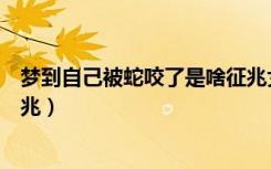 梦到自己被蛇咬了是啥征兆女人（梦到自己被蛇咬了是啥征兆）