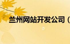 兰州网站开发公司（兰州网站设计公司）