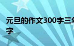 元旦的作文300字三年级下册 元旦的作文300字