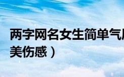 两字网名女生简单气质高冷（两字网名女生唯美伤感）