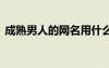 成熟男人的网名用什么好听 成熟男人的网名