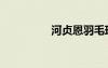 河贞恩羽毛球（河贞恩）