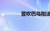 竖吹巴乌指法（巴乌指法）