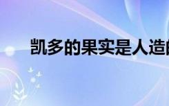 凯多的果实是人造的吗（凯多的果实）