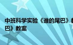 中班科学实验《谁的尾巴》教案反思 中班科学实验《谁的尾巴》教案