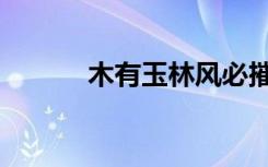木有玉林风必摧之（玉木林风）