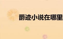 爵迹小说在哪里看（爵迹小说3）