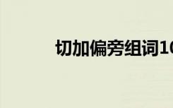 切加偏旁组词10个（切加偏旁）