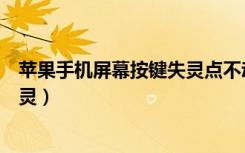 苹果手机屏幕按键失灵点不动怎么办（苹果手机屏幕按键失灵）