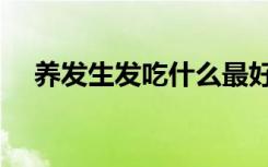 养发生发吃什么最好（养发吃什么最好）