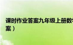 课时作业答案九年级上册数学（课时作业本九年级数学上答案）