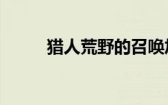猎人荒野的召唤加点（召唤加点）