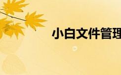 小白文件管理器（小白文）