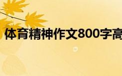 体育精神作文800字高中议论文（体育精神）