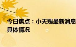 今日焦点：小天赐最新消息今天!表白73岁爸爸，详细分析具体情况