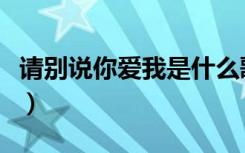 请别说你爱我是什么歌（请你别说你还爱着我）
