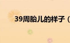 39周胎儿的样子（怀孕39周胎儿图）