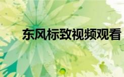 东风标致视频观看（东风标致车友会）